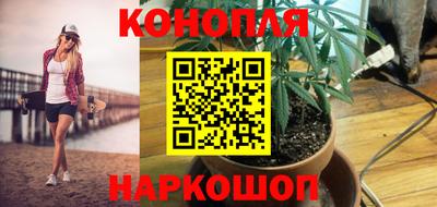 амф Дубна