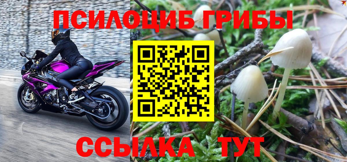 Нефтекамск  Галлюциногенные грибы MAGIC MUSHROOMS  Вход с VPN  Псилоцибиновые грибы Cubensis 